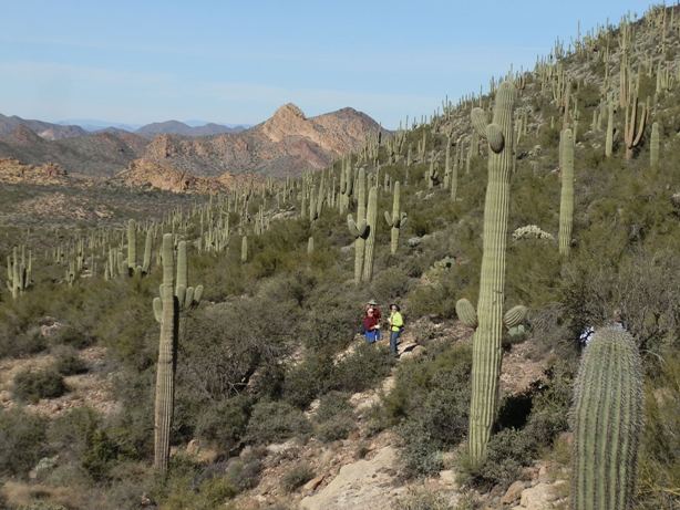 Three hikers on the Black Mesa Trail in the Superstition Mountains