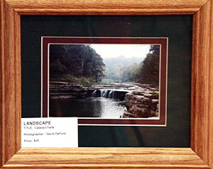 1st Place Landscape by David DeFord - Cascade Falls