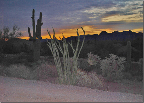 'Desert Sunset' by Kay Zelco