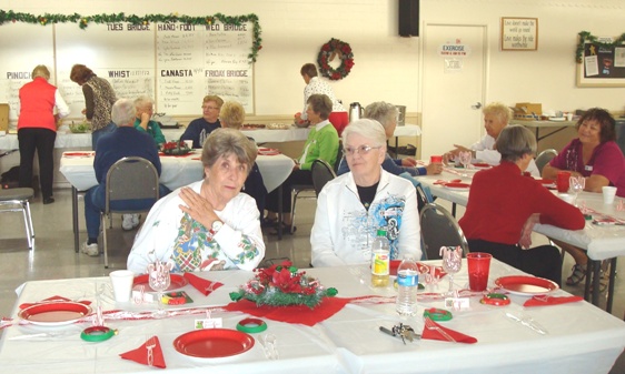 Mary and Carol at the luncheon