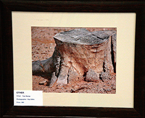 1st Place Other - Kay Zelko -Tree Stump