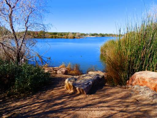 Walker's view of Memorial Lake