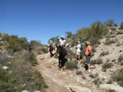 Meeting Horses and Riders along the trail